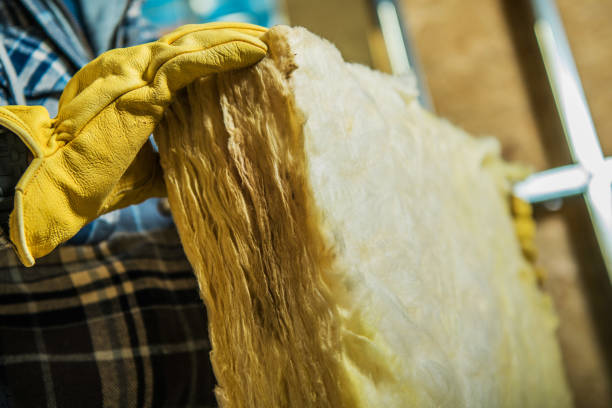 Best Blown-in Insulation in Cut Off, LA